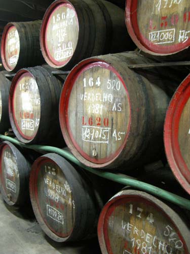 Barrels of Madeira at Barbeito