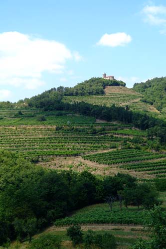 Hilltop village and vineyard in Slovenia
